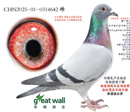 6.�üt̖(h��o)x������Ѫϵ.0314642