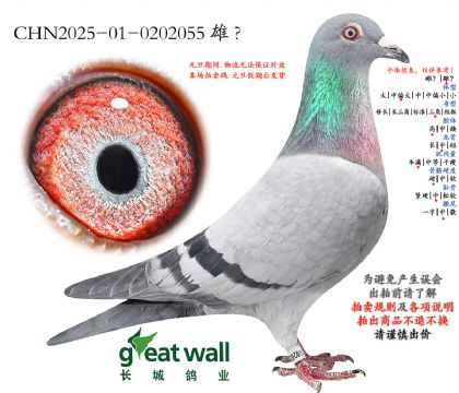 14.���R����4ƽ݅�Ӵ�.0202055