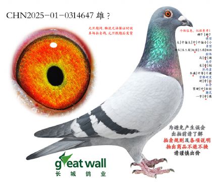 13.����Ѫϵ.0314647