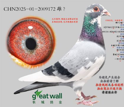 12.���r(sh��)�ݽ�Ѫ.2009172