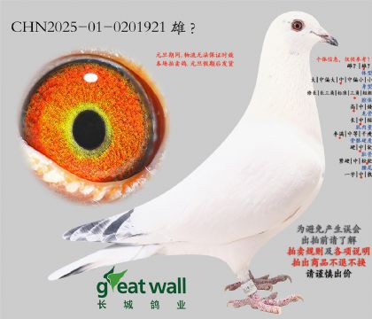 16.���ؠ�x�m������.0201921