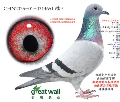 15.�sҫ̖(h��o)��Ѫ�O��.0314651