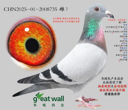 19.�¿����ˌO��.2008735