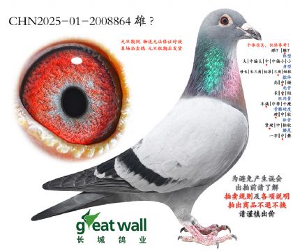 18.���r(sh��)��911��Ѫ�O��.2008864