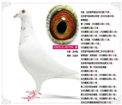 ������ƽ�����رȭh(hu��n)�p�P�C������16��   ��	