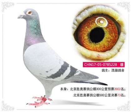 �����يWِ������500����Qِ73��   ��	