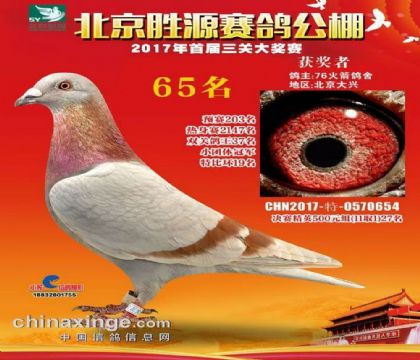 ������Դِ�������p�P�C������37��  ��	