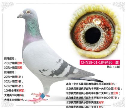 �����W��ِ���㘷���p�P������܊   ��