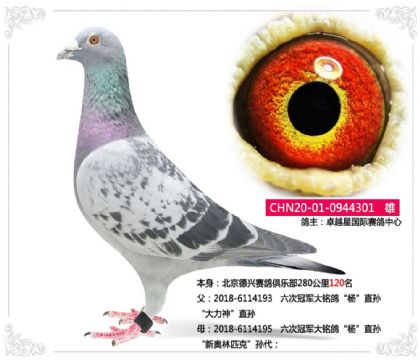 ׿Խ�Ǉ��Hِ������---��܊X���W��301   ��	