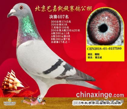 ����ˇ�΄P��ِ������510����Qِ407��  ��