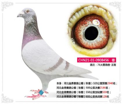 �ӱ���ِ��������600��������(zh��n)ِ128��   ��	