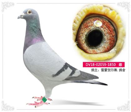 �����R��˹.����	-1850   ��	