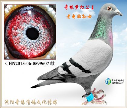 �λù�����������ĸ�������������