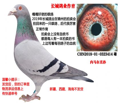 �L�����I(y��)��������(n��i)�R��ֱ�O��