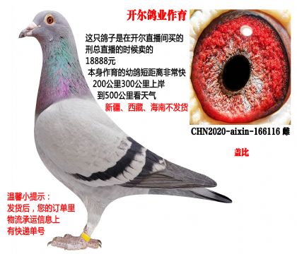 �_�����I(y��)�������w�ȣ��̿�ֱ���r(sh��)���I��