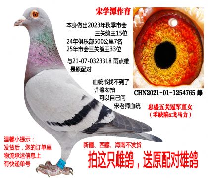 �ΌW(xu��)̶���������P(gu��n)������܊ֱŮ����ԭ�䌦������