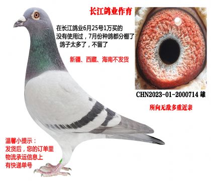 �L�����I(y��)����������o�����ؽ��H��