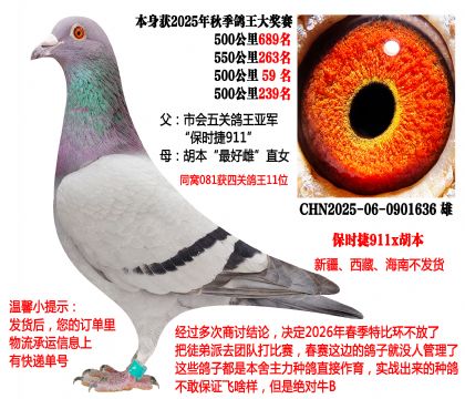 2025���＾���P(gu��n)������ͬ�C�@���P(gu��n)����11λ