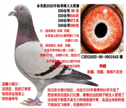 2025���＾���P(gu��n)����������x���ң�