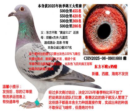 2025���＾���P(gu��n)�������S��512���Hx�ٳ����I(y��)-���ң�