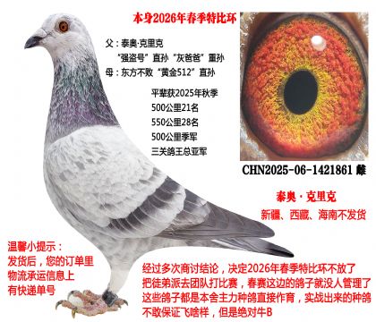 2026�괺���رȭh(hu��n)��25���＾���P(gu��n)��������܊ȫƽ݅