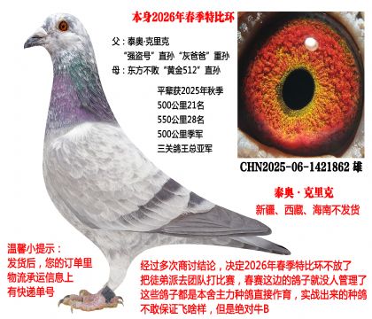 2026�괺���رȭh(hu��n)��25���＾���P(gu��n)��������܊ȫƽ݅