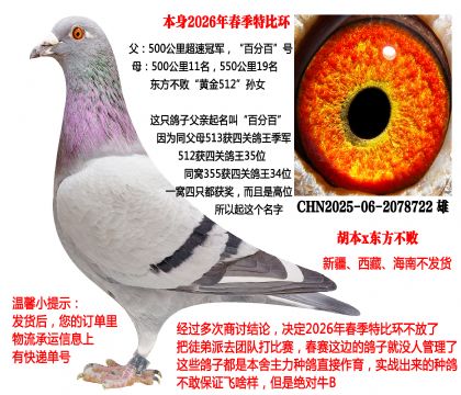 2026�괺���رȭh(hu��n)��500���ﳬ�ٹ�܊x�S��512�OŮ��