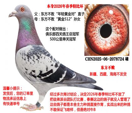 2026�괺���رȭh(hu��n)�����p�S����ֱ��x�S��512�OŮ��