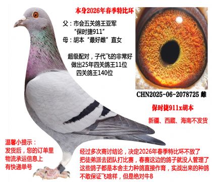 2026�괺���رȭh(hu��n)�����P(gu��n)������܊x������ô�ֱŮ��