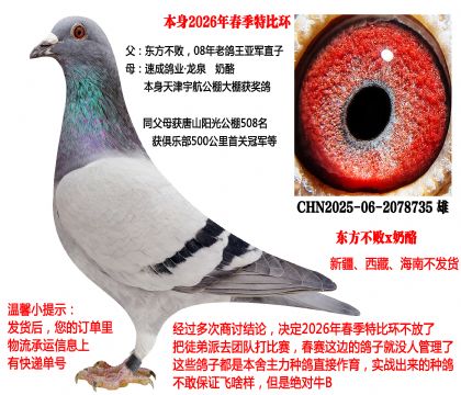 2026�괺���رȭh(hu��n)��08����������܊ֱ��x�ٳ����I(y��)-���ң�