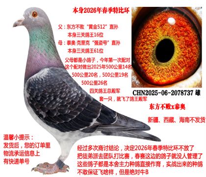 2026�괺���رȭh(hu��n)��25���＾���P(gu��n)������܊ȫƽ݅