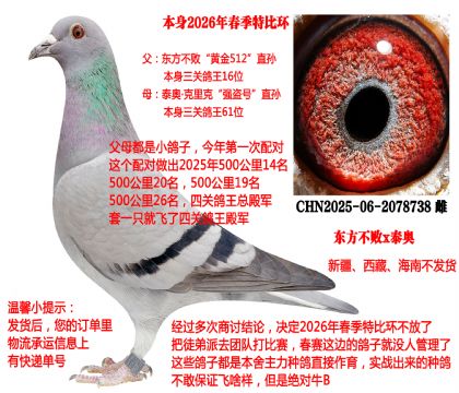 2026�괺���رȭh(hu��n)��25���＾���P(gu��n)��������܊ȫƽ݅