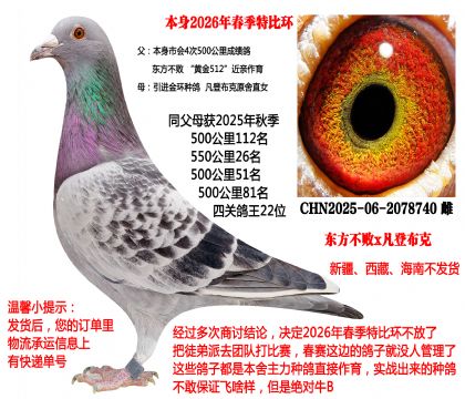 2026�괺���رȭh(hu��n)��25���＾���P(gu��n)����22λȫƽ݅