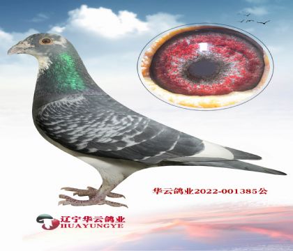 ����P��  �؄e���]