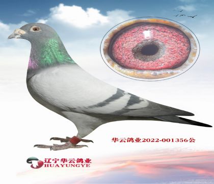 ���W�̖(h��o)��ֱ�OX�W�̖(h��o)�OŮ