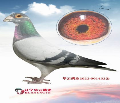 �^��(du��)����õ� ���ǲ����䌦(du��)