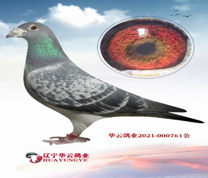 2011���ϵ�(gu��)��������ţ�Ӵ�