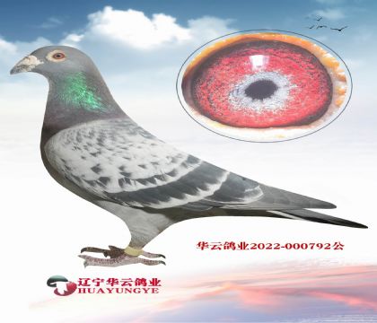 ���W������(j��)�_��ֱ�ӡ��O��X������С�Ͽ�ֱ�OŮ