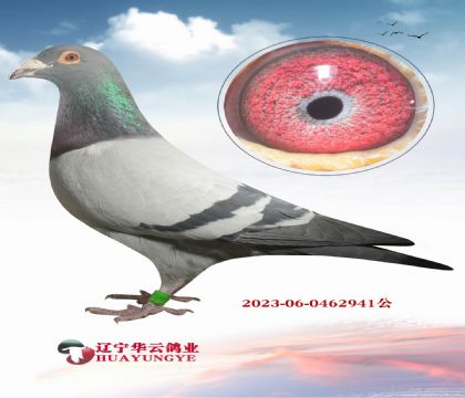 14��740ֱ�� X740ȫ�� ��ĸ006ֱŮ