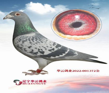 2011���ϵ�(gu��)����������(j��)�Ӵ�