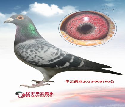 �Ͽ�.���ǲ���ԭ��X��(hu��)�o�㶨��ĳ���(j��)��ĸ