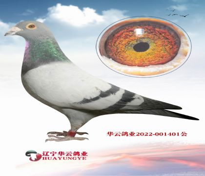 ������(j��)���ǲ��� ��ؐ����X�������S��N�Ƶ����_ֱŮ