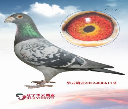 ��� 6�������p  ����(j��)�N��