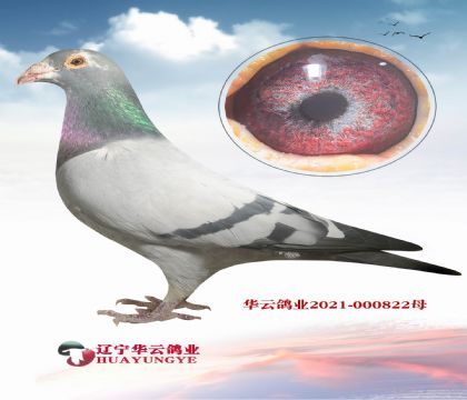 �|���A�ƹ���Qِ��܊X�\(y��n)�蹫��Qِ��܊����