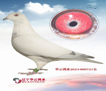 ���c(di��n)��ؐ��˹�N��X���������� ��ؐ��˹