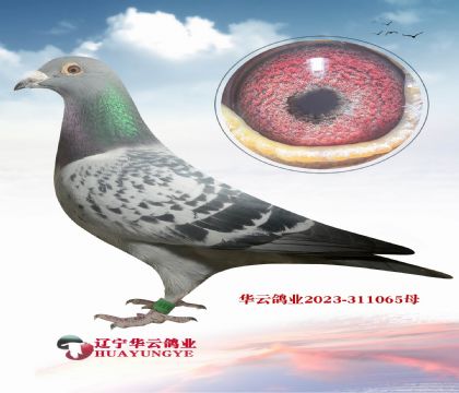 ���_����(d��)�۴ơ�ֱ�OX���W��ƥ���_����