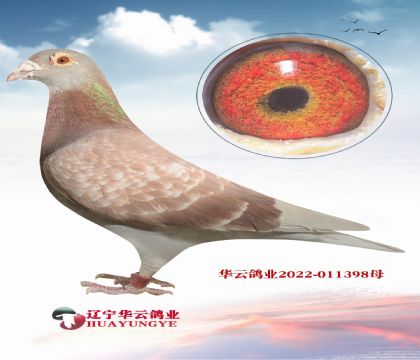 ���W��ƥ���}������ֱ��X������.����  ����(j��)���