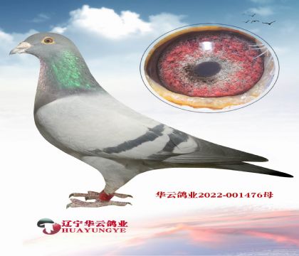 12��o�h(hu��n)�ش���ϼt��ֱ��x�ش��740����(j��)�N���OŮ