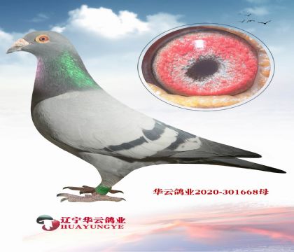 ��߼�(j��)�� �ֲ���