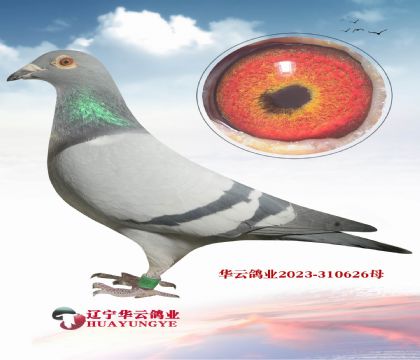 ������(j��)���ǲ��� ��ؐ����X�������S��N�Ƶ����_ֱŮ